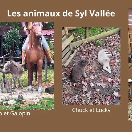 Syl-vallee Western Village مكان تخييم *